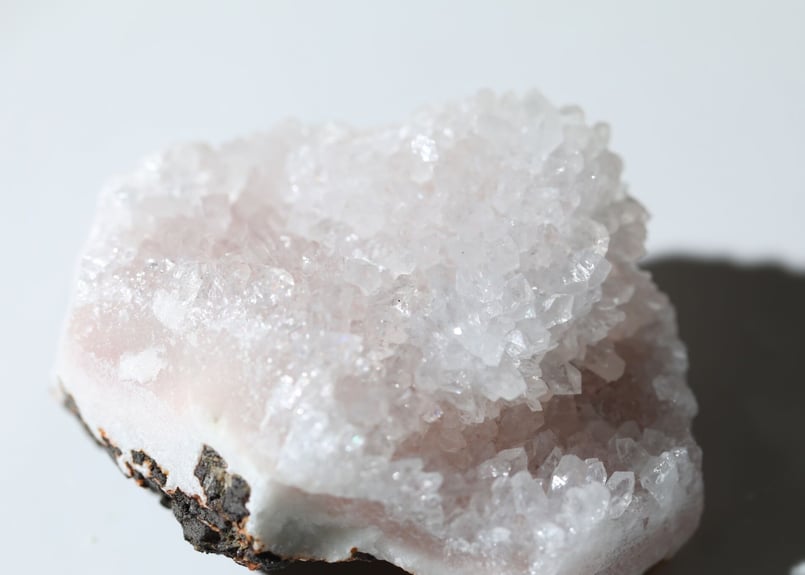 ピンクアメジストフラワー【開花】 ピンクアメジストフラワー【開花】