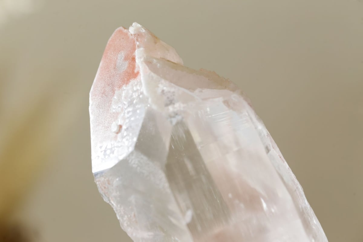 ピンクレムリアンシードNo0018