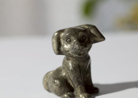 【悟りのシッディ入り】パイライトの犬