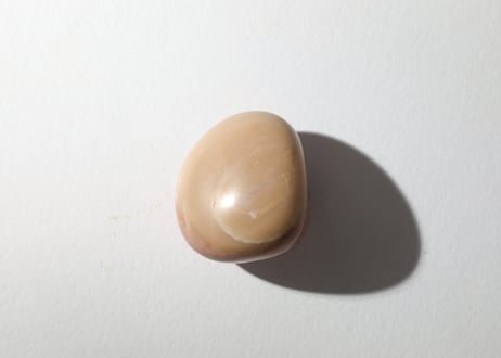 【新しい可能性】ピンクペトリファイドウッド タンブル