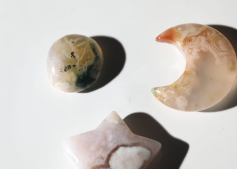 【草花のような人】だいすきチェリーブロッサムセット