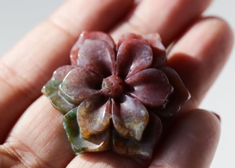 オーシャンジャスパーの花　【尊き花】