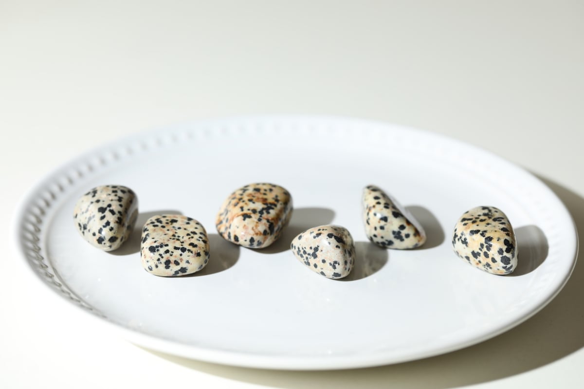 オシャレしたい気分】ダルメシアンジャスパー タンブル (6個セット