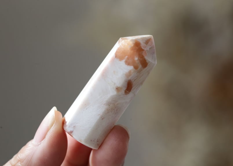 花の癒し】ピンクスコレサイト ポイント | Y.S.Y24