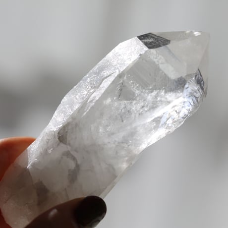 パストタイムリンク | STORES