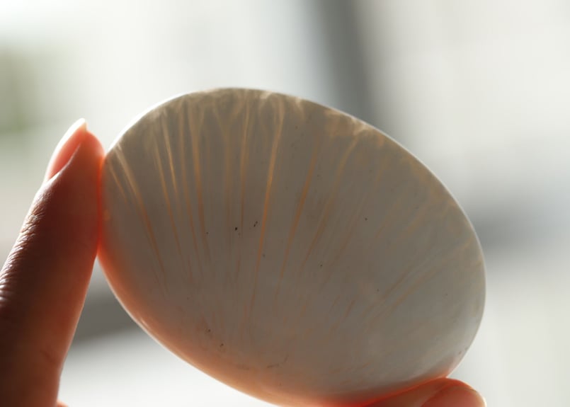 ＊＊☆プロフ必読☆＊＊　はち。＊.・*¨ 様　凄くレア　高品質　スコレサイト スコレサイト | 榎本通商