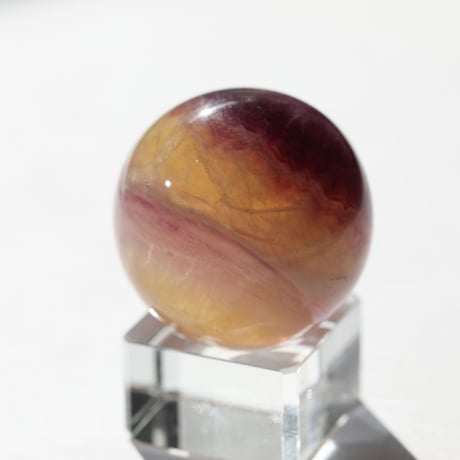 STORES フローライトの検索結果