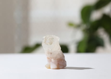 【あなたは優しい】チェリーブロッサムアゲート ライオン