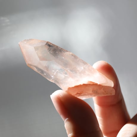 フューチャータイムリンク | STORES