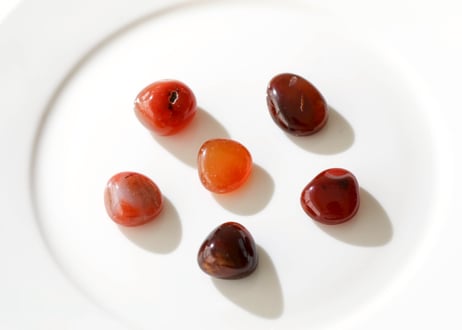 CATEGORY 特別セット商品 | Y.S.Y24