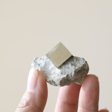 パイライトキューブ | STORES