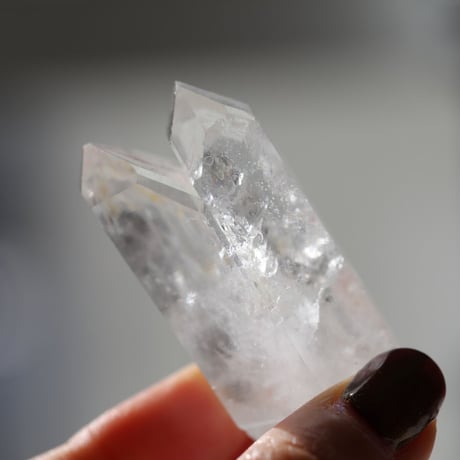 パストタイムリンク | STORES