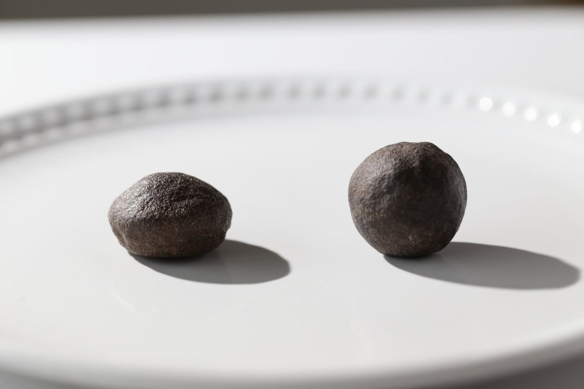 ボージーストーン　４個おまとめセット 楽天市場】希少 ボージーストーン Boji Stone 化石 男女ペア