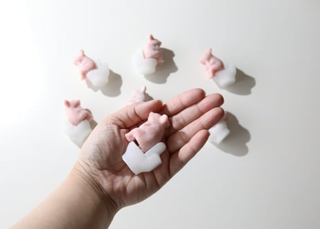 【可愛い集合意識】ピンクオパールの考えるぶたとホワイト翡翠のトイレ（1個）