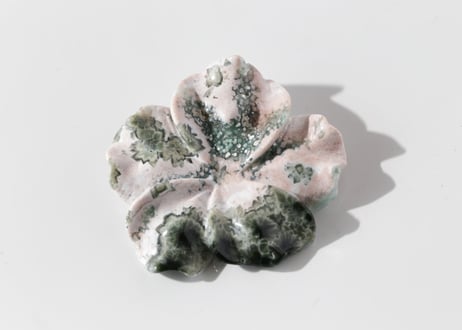 【海風のとなり】オーシャンジャスパーの花