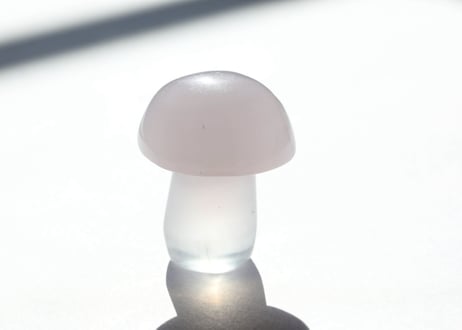 大技封入❣️【奇跡が起こる】フローライト きのこ ※イベントクーポン使用不可