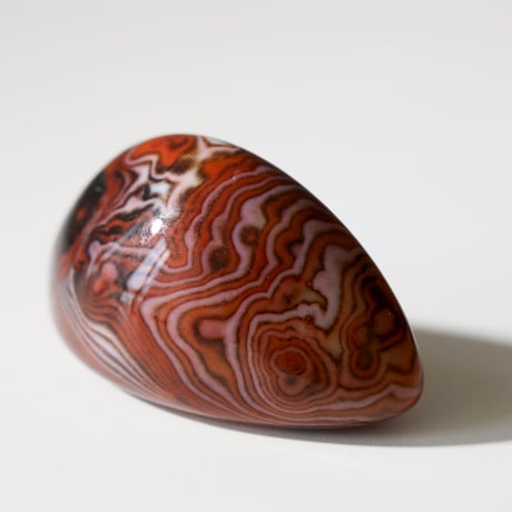 サードニクス | STORES