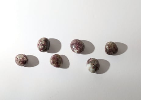 【愛を届けて】カコルトカイト タンブル（6個セット）