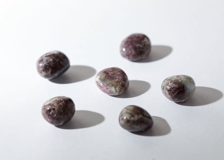 【愛を届けて】カコルトカイト タンブル（6個セット）