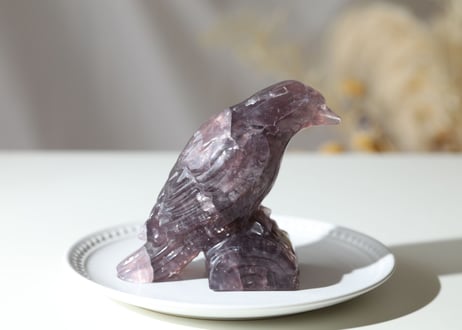 【魔法の鳥】虹入り アメジスト カラス
