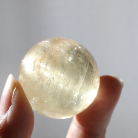 ゴールデンカルサイト | STORES