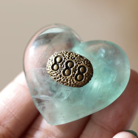 STORES フローライトの検索結果