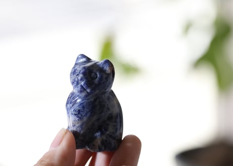 【カルマ解放のシッティ入り】ソーダライト ねこ