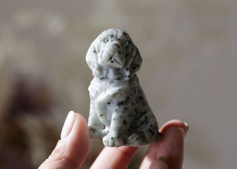 【寄り添う】キウイジャスパーの犬