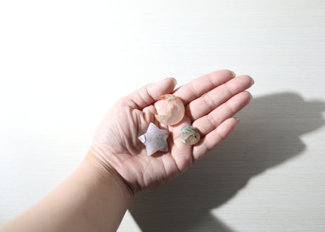 【草花のような人】だいすきチェリーブロッサムセット