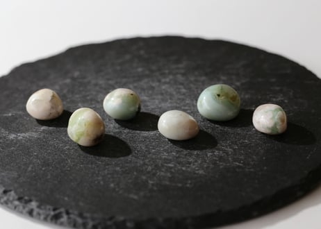 CATEGORY 特別セット商品 | Y.S.Y24