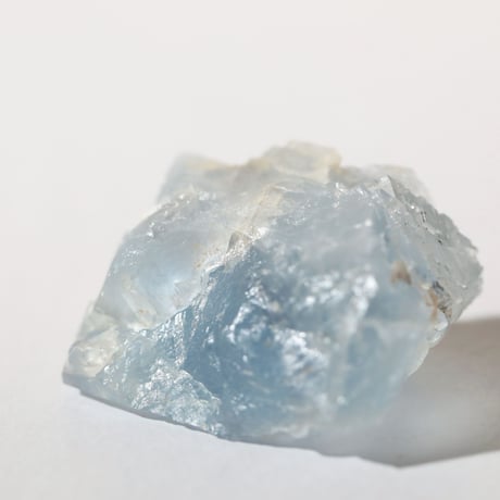 ブルーフローライト | STORES