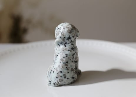 【寄り添う】キウイジャスパーの犬