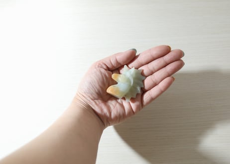 【心はこどものままで】アマゾナイト ユニコーン