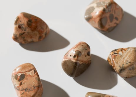 CATEGORY 特別セット商品 | Y.S.Y24