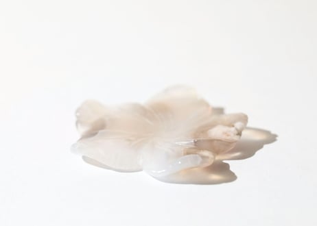 【愛の人】チェリーブロッサムアゲート 花