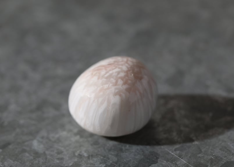 たいせつなこと】スコレサイト タンブル | Y.S.Y24