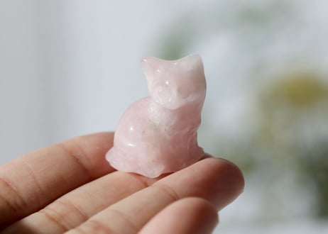 【魂のコミュニティ】ねこ3姉妹セット