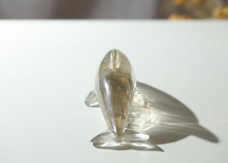 【シリウスからのメッセージ】ミナスジェライス州産 虹入り ナチュラルシトリン イルカ