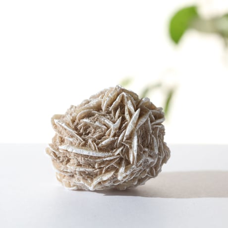 デザートローズ 新品未使用 デザートローズ | STORES