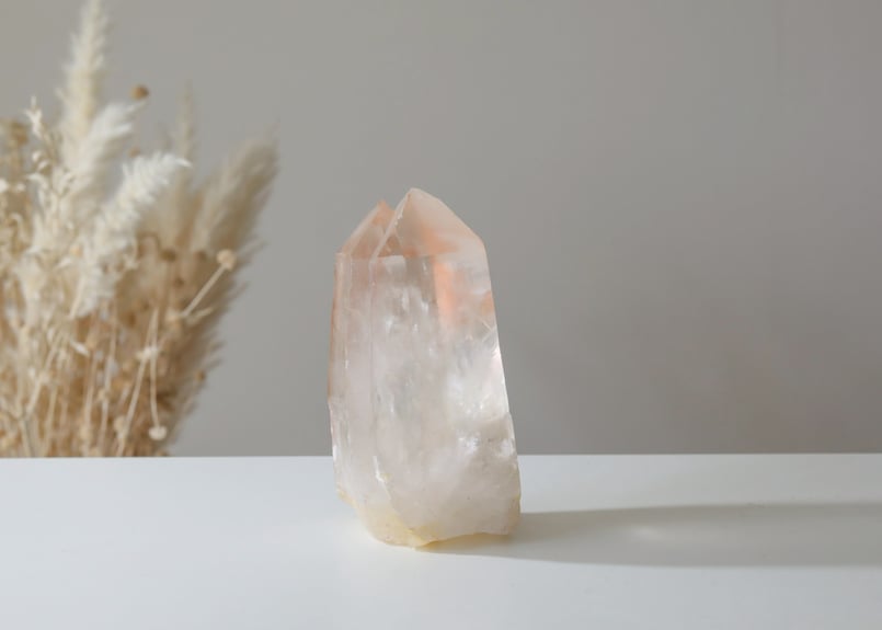 行きたい世界に行ける技入り】ミナスジェライス州産 タンジェリン