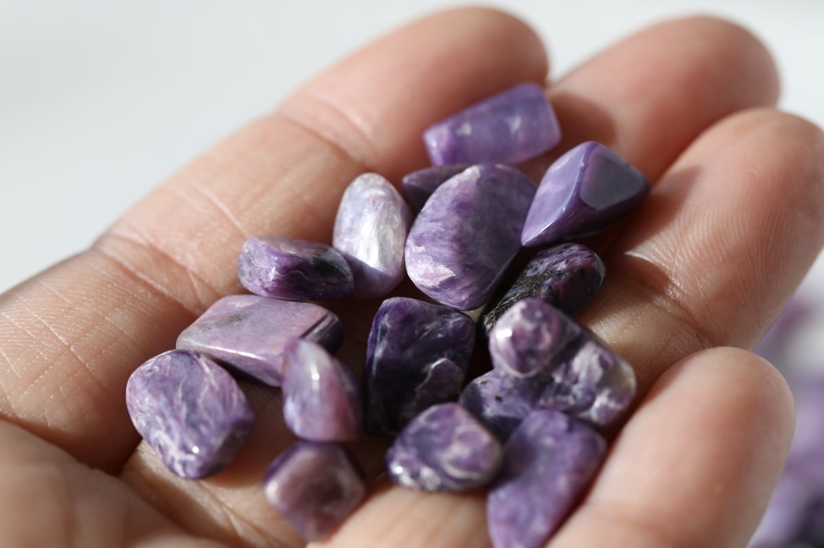 リーディング能力向上】チャロアイト さざれ（40g） | Y.S.Y24