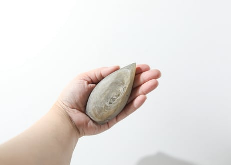 【JOY＆LOVEの技入り】ゴールデンマイカ ファイヤーフォルム ※イベントクーポン使用不可