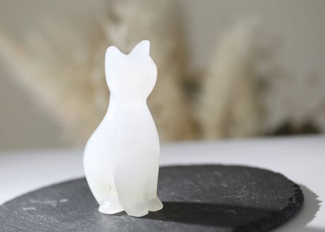 【社を守る猫】ホワイトカルサイト ねこ