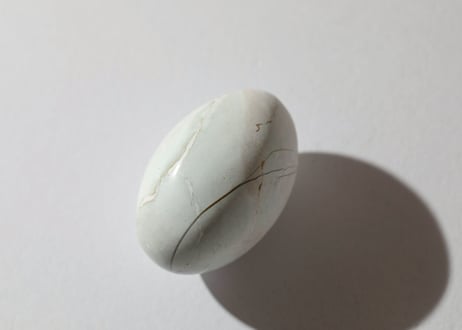 CATEGORY 特別セット商品 | Y.S.Y24