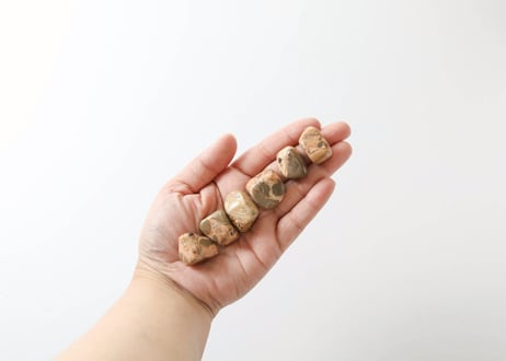 【ひとつの達成】レオパードジャスパー タンブル（6個セット）