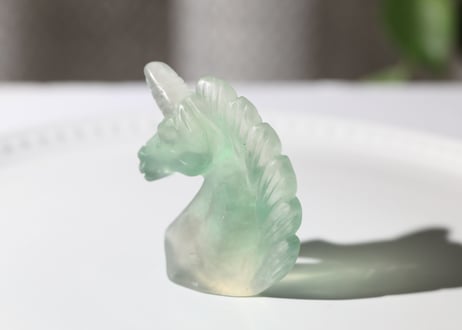 【マインドの拘束からの解放シッティ入り】フローライト ユニコーン