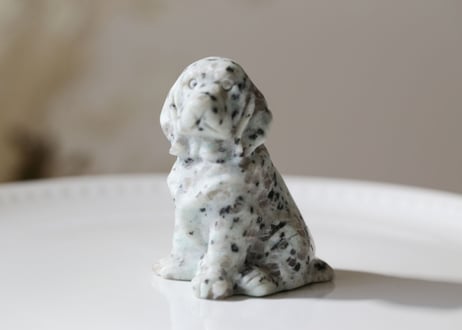 【寄り添う】キウイジャスパーの犬