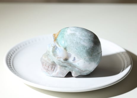 オーシャンジャスパー スカル　【愛の星】