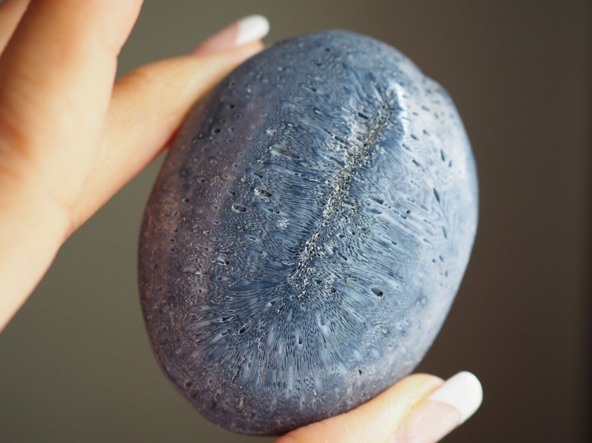 よしみ様　高品質　フォッシルコーラル　珊瑚　ハート　握り石 生きる力】ブルーフォッシルコーラルの握り石 | Y.S.Y24