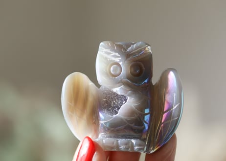 【お正月初売りスペシャル】天使と繋がる幸福のフクロウセット